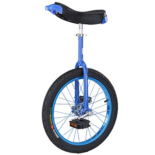 Best Unicycles For Beginners 10Reviewz