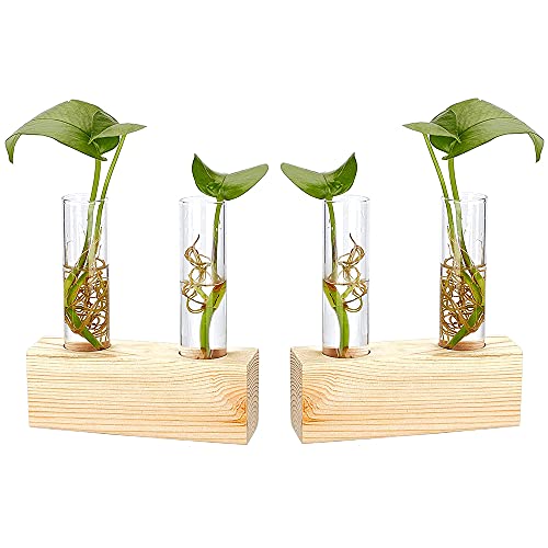 2 Piezas Jarrón Hidropónico de Madera, Jarrón de Tubo Vídrio, Tubo de Ensayo Hidropónico, Florero con Brotes En Soporte De Madera para Plantas Hidropónicas, Esquejes, Oficina (con 2 Tubos de Ensayo) Cover