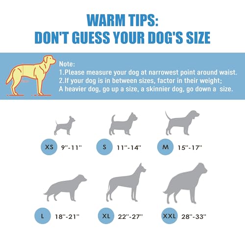 Image of Wegreeco Jeans Washable Male Dog Diapers (Pack of 3) - Washable Male Dog Belly Wrap (Medium)