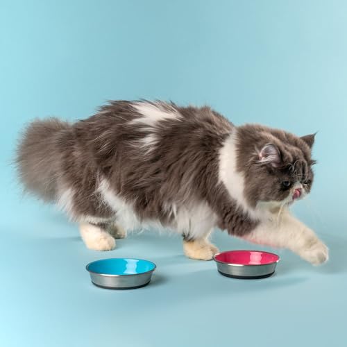 Image of HUFT Slurp Kitten Bowl - Blue, Small | Feeding Bowl for Kittens & Puppies | Durable & Lightweight | Easy to Clean | Ideal for Food & Water for Kittens Daily Use