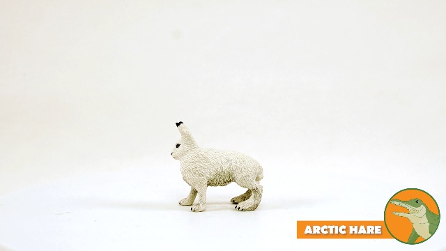Amazon.com: Safari Ltd. Arctic Hare Figurine - Detailed 2.5 Amazon.com: Safari Ltd. Arctic Hare Figurine - Detailed 2.5