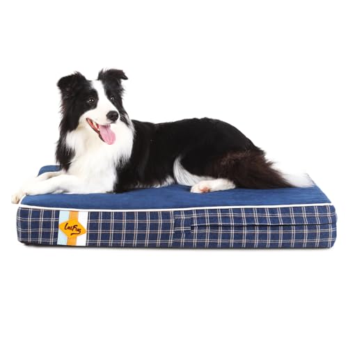 Laifug Orthopedic Memory Foam Pet(40"x 25"x 4",Black)/Dog Bed with Durable Waterproof Liner and Removable Washable Cover 40.0"L x 25.0"W x 4.0"Th Black