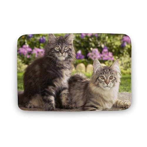 �L �� ������ �o�X�}�b�g �z��������/�唻 ���փ}�b�g ���� ���O ������� ���� ����\ ����~�� �A�j�� �L�����N�^�[ ���@���}�b�g ���� ���� ���ʏ�