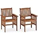 COSTWAY Gartenstühle Holz 2er Set, Holzstühle mit Armlehnen, Balkonstühle, Gartensessel für Garten, Balkon, Terrasse