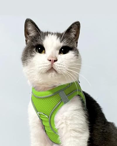 Joytale Hundegeschirr, Reflektierend Weich Gepolstert Hunde Geschirr, Air-Mesh Atmungsaktiv Brustgeschirr für Katze Welpen, Kleine Hunde, XXS, Grün