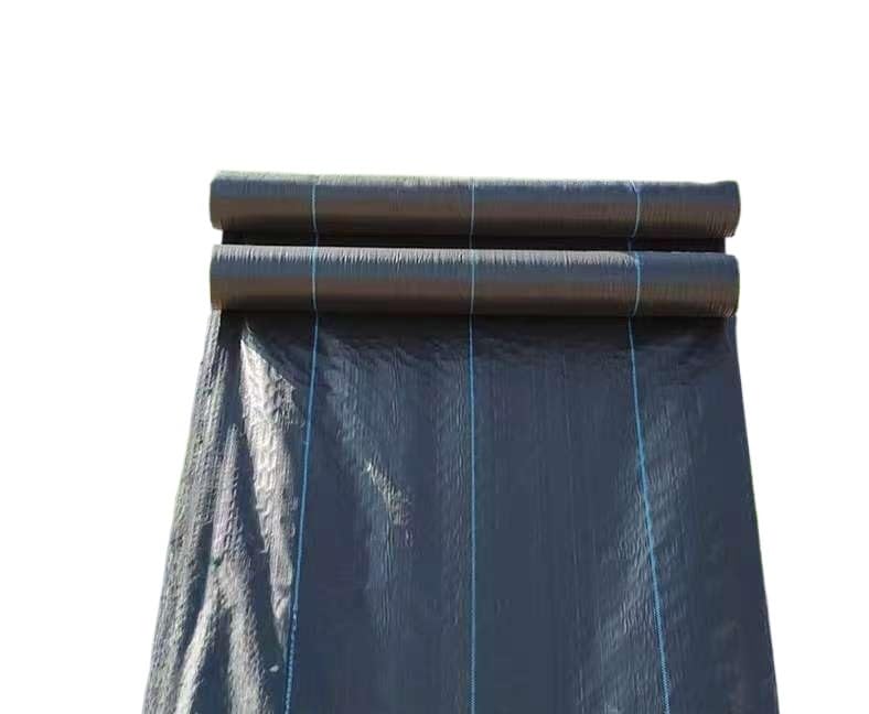 UQUWCUXFI Tela de Barrera antihierbas Premium - 60 cm/100 cm/120 cm de Ancho, Rollo de 10 m a 200 m de Largo, 1 Unidad(0.6mx100m)