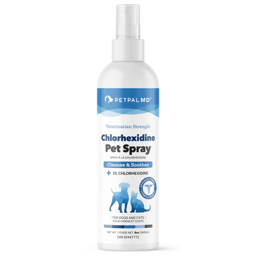 ChIorhexidine Spray by PetPal | with Aloe & VIT-B5 Panthenol | Hot Spot, Itch, Wound Care for Dogs and Cats | Relieves Itch, Rashes, Sores, Scrapes, Skin (8 fl oz / 240mL)
