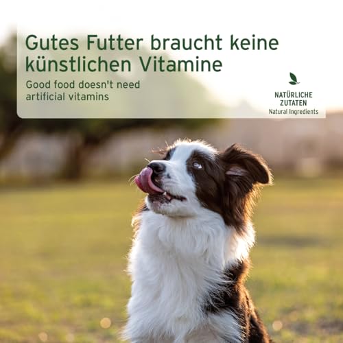 AniForte Hundefutter Nass RanchHorse 6 x 400g – Nassfutter für Hunde, Frisches Pferd mit Gemüse & Früchten, hoher Fleischanteil, Natürliches Hundenassfutter getreidefrei