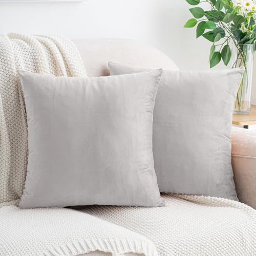 HWY 50 Lot de 2 housses de coussin décoratives en velours gris argenté, 45,7 x 45,7 cm, douces, confortables, solides, pour canapé, sofa, lit, salon,...