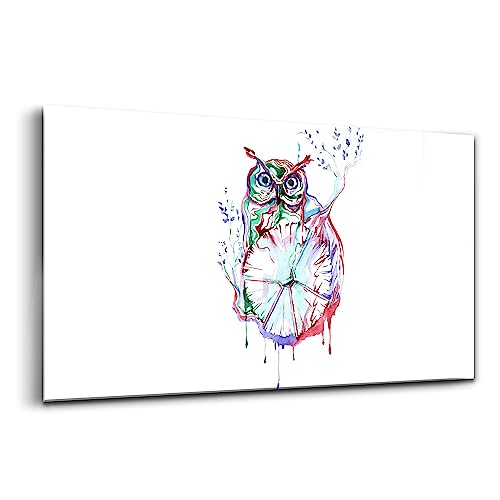 Tableau verre moderne hibou pour raviver un mur blanc et triste 100x50cm