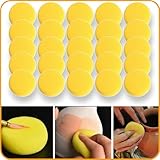 Rokkuon 25Pcs Pottery Sponges 3inch, Painting Sponges, Pottery Sponges for Clay, Clay Sponge, Round Sponge, Clay sponges for Pottery, Paint sponges for Acrylic Painting, Artist Sponges