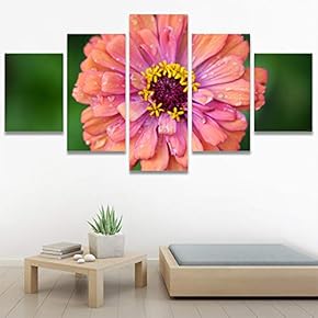 SIGNWIN 5 Panel Canvas Wall Art Flora Snapshot...