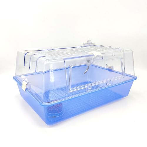 lyyffsqcsj nX^[ P[W 傫 SʃNA S  P[W P[X  [߃gC ЎXCb` ̐^ K ֗ ϋv ʂ悢 S[fnX^[ bg K nlY~  ঒ p(