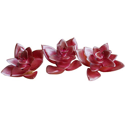uyhghjhb Artificial Flower Succulent Fake Plant Bonsai DIY Office Home Desktop Decor  4#