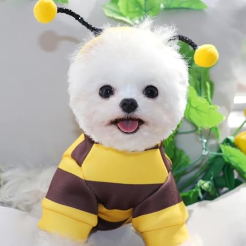 Sudadera para Perro y Gato Diseño Abeja Talla M miniatura 7