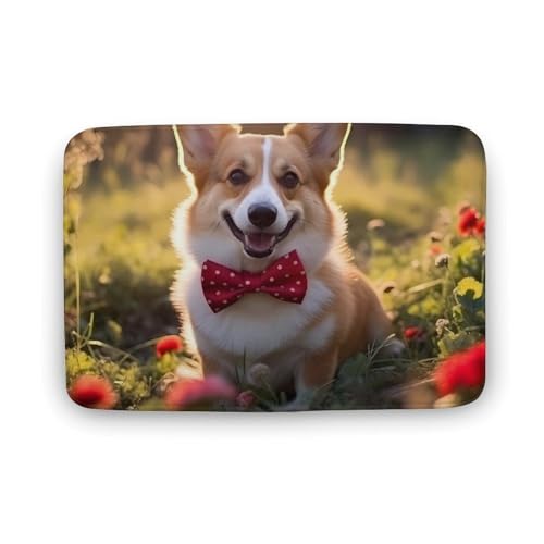 Corgi Dog Coral Velvet Rugs Non-Slip Bathroom Rugs Soft Kitchen Rug Floor Carpet for Home Decor 15.7