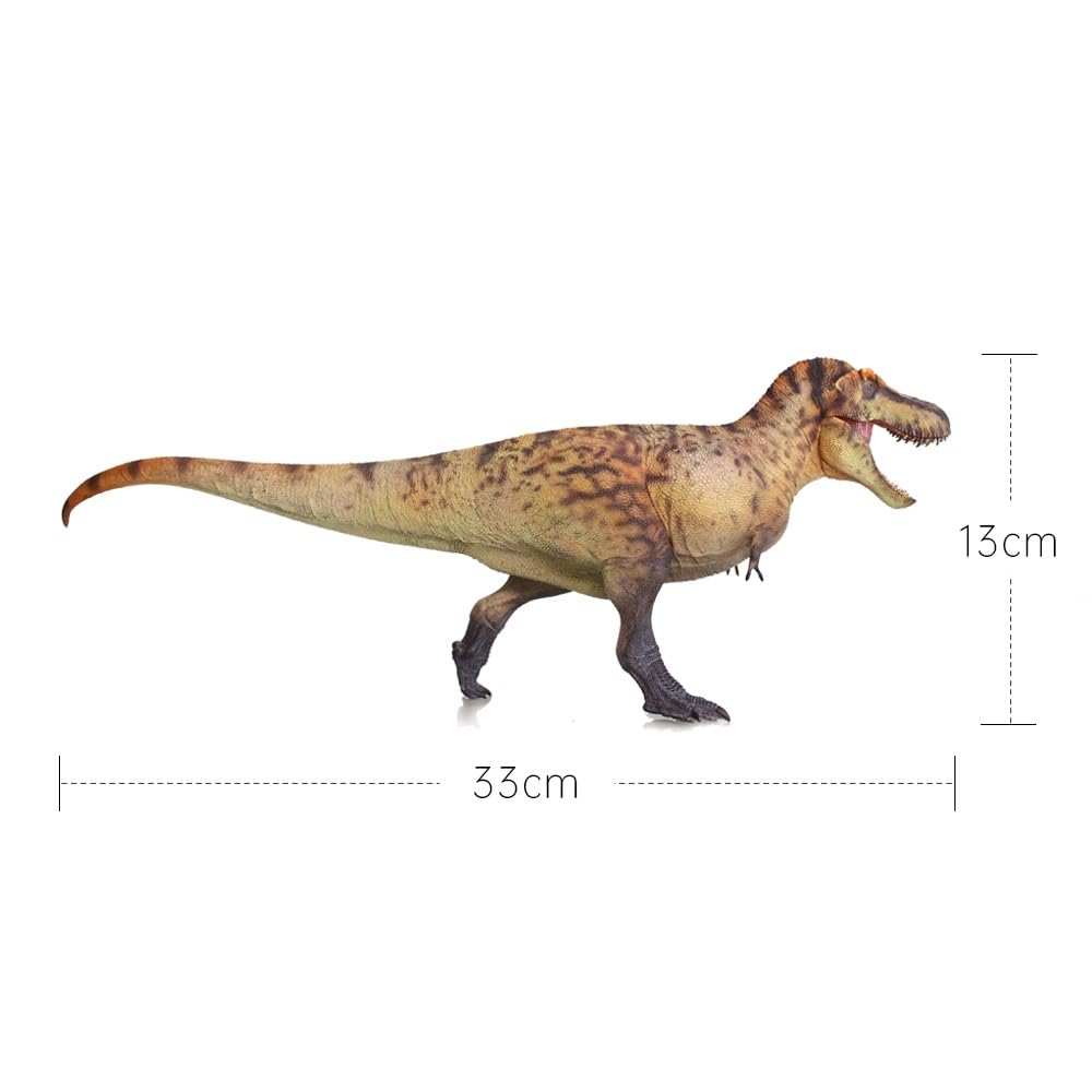 Amazon.com: XINPANYIAN HAOLONGGOOD Tyrannosaurus Rex Dinosaur