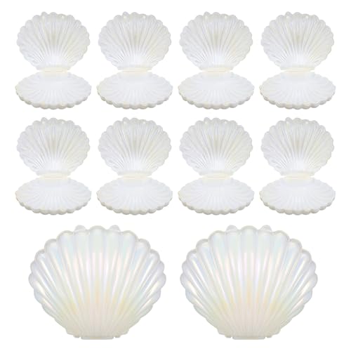 Boîtes à bonbons coquillage nacrées pour dragées, bijoux et boîtes cadeaux de mariage