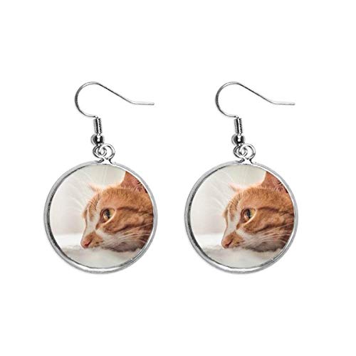 Pendientes de plata de gato mujer joyería cerámica redondos