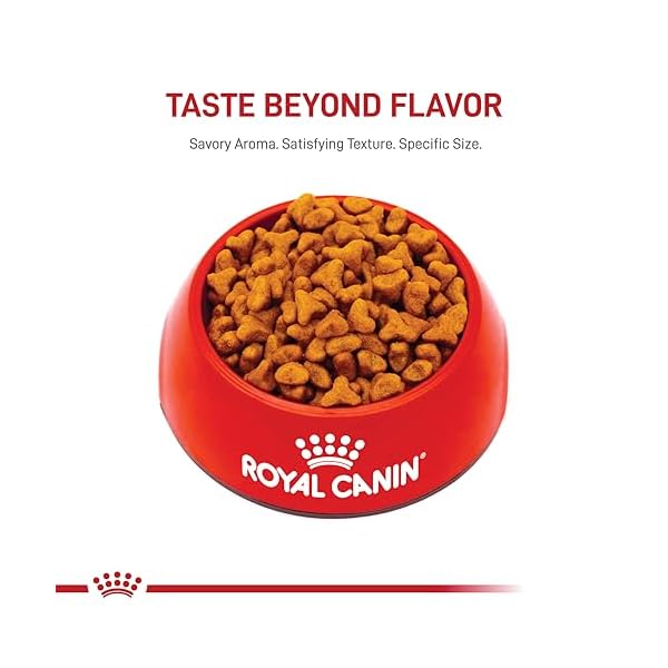 ROYAL CANIN Breed Health Nutrition Pug Adult Dry Dog Food, 10-Pound by Royal Canin – Bild 7