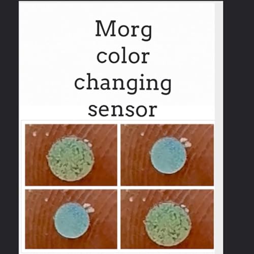 『Morgellons Research 2025』のカバーアート