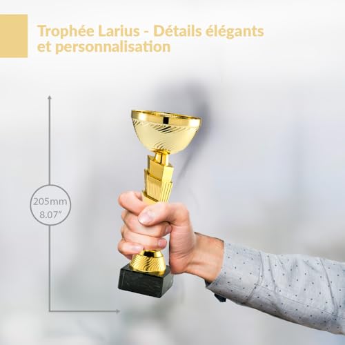 Larius Trophée Prix d'honneur Classic Cup - Récompense Trophée avec/sans gravure (sans texte personnalisé, S) – vue 5