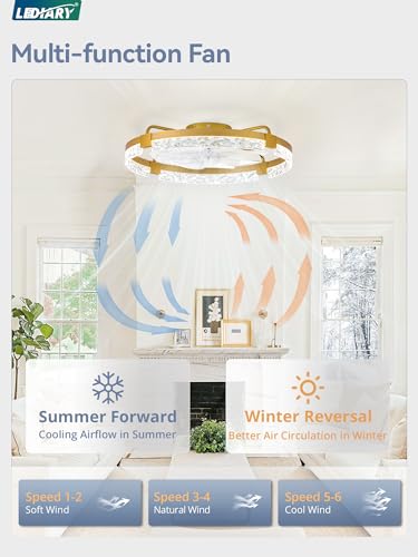 Image of LEDIARY 2-Pack 24 inch Ceiling Fans with Lights, APP & Remote, Gold