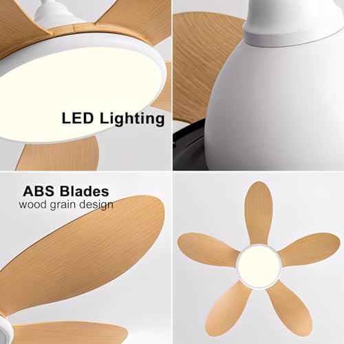 Ventilateur de plafond moderne profil bas pour rafraîchir les petits espaces