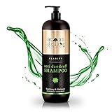 Argan Deluxe Anti-Schuppen Shampoo - Arganöl Haarpflege gegen Schuppen, juckende und trockene Kopfhaut für kräftiges Haar & mehr Volumen - Argan Öl aus Marokko - 1000 ml