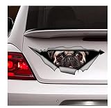 Autocollants Voiture Autocollant De Voiture De Roquet De 22 Cm Autocollant De Voiture D'Aimant De Roquet Décalque D'Animal Familier Autocollant De Chien Décalque De Chien