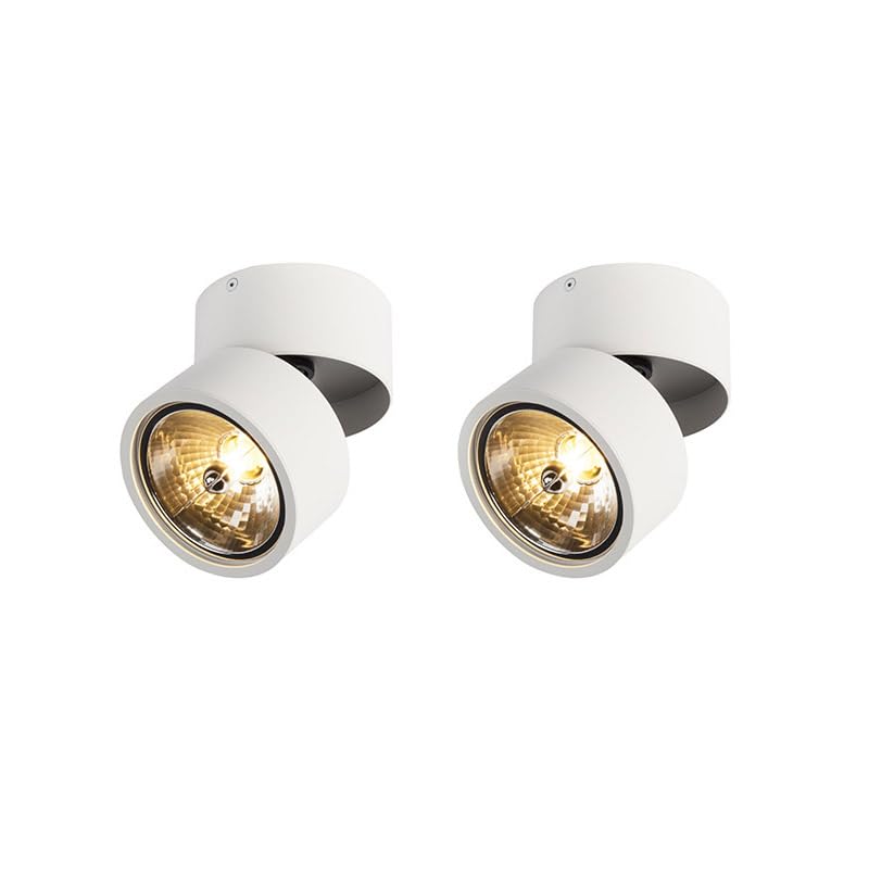 QAZQA Go Nine Tubo Industrie-Spot Set - 2-flammig, Schwarz, Verstellbar, G9 Fassung, Für Decke