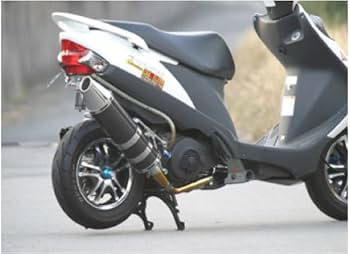 Amazon | カメレオンファクトリー アドレスV125(~GK7/ZK7)カーボ