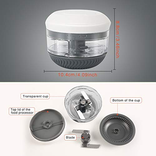 FUHUIM Mini Manual Food Chopper, Durable Hand Held Food Choppers and Dicers, One More Free Blade, Fits for Chopping Vegetables/Fruits/Onions/Garlics/Salad/Coleslaw/Puree