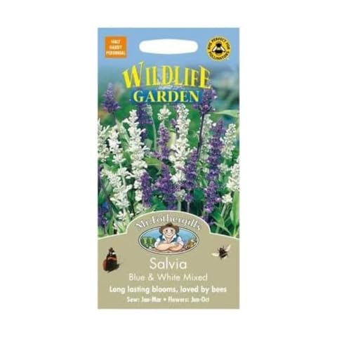 Mr. Fothergill's Mixed Salvia in Blue and White Cover