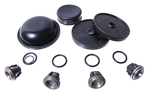 Rittenhouse Hypro Repair Kit for D30 Diaphragm Pump - D30REPAIRKIT
