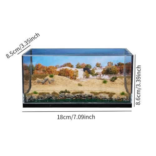 Escena desierto 1/64 con vitrina acrílica para diorama miniatura 3