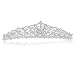 Bridal Wedding Princess Rhinestones Crystal Flower Tiara Crown - Silver Plating