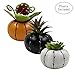 Produktbild JIUCHEN Halloween Deko 3er-Set Künstliche Sukkulenten Pflanzen Kürbispflanze mit Töpfen für Tischdeko Haus Balkon Büro Halloween Dekoration