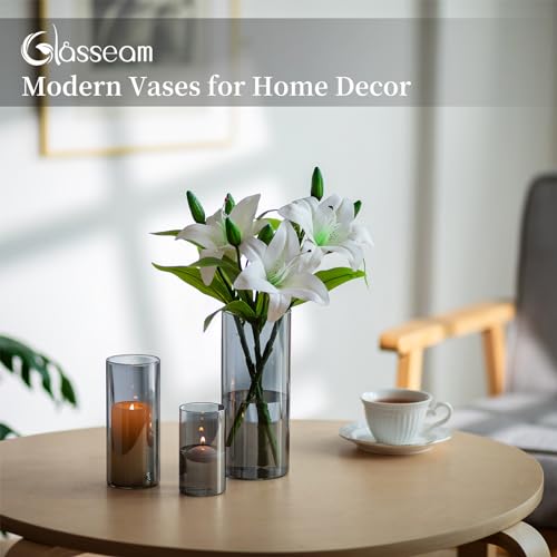 Glasseam Glass Cylinder Vase Grey: 3Pcs Modern Flower Vases for Living Room Dining Table Centrepiece - Decorative Hurricane Candle Holders Pampas Grass Tulip Vase for Flowers (10/15/20cm) - Image 5