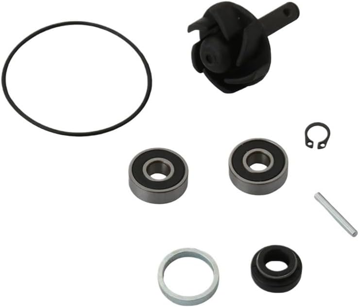 Water Pump Repair Kit for 51 50 Gr Ry Sc GP SR50 SR50 WWW 2T 100110010