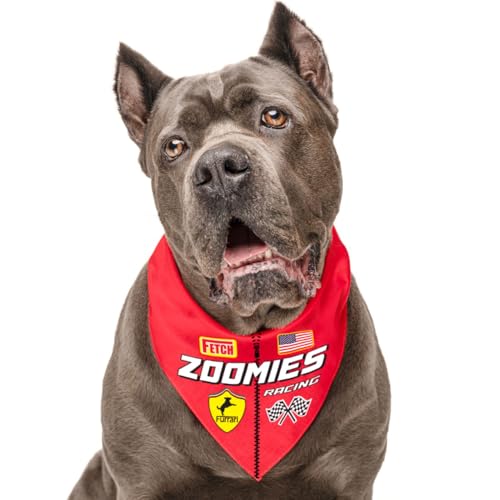 Bandana para perro ajustable rosa con bandera a cuadros pañuelo triangular Zoomies 1401 3