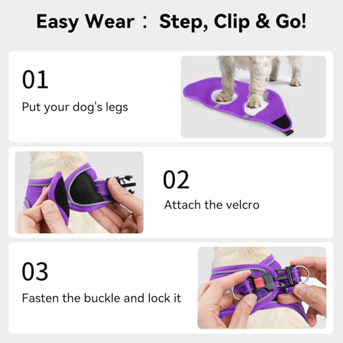 Joytale Hundegeschirr Kleine Hunde, Reflektierend Weich Gepolstert Geschirr, Air-Mesh Brustgeschirr Hund klein, S, Lila