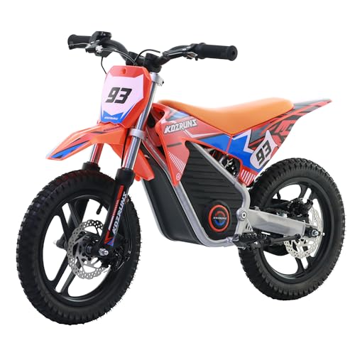 Blissskip Electric Dirt Bike