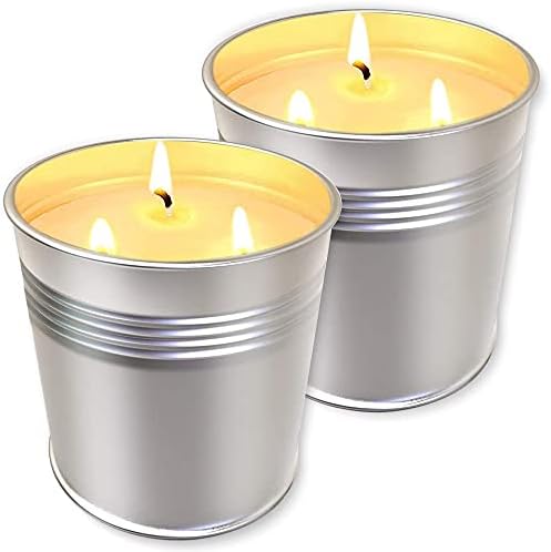 Topsics 16 OZ Citronella Candles Outdoor Indoor, Large Citronella Candles for Patio/Home/Garden, 3 Wicks Citronella Burning Time Lasting 100 Hours Each, 100% Natural Soy Wax Candles (2 Packs)
