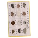 LOLIPPYY 12 Stck. Teiliges Mineralien Gesteinsproben Vielfältigen Strukturen für Geologieunterricht Laboranalysen und Sammlungen Erkennbar und Leicht Identifizierbar