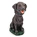 Animal Den Chocolate Lab Dog Bobblehead Figure for Car Dash Desk Fun Accessory