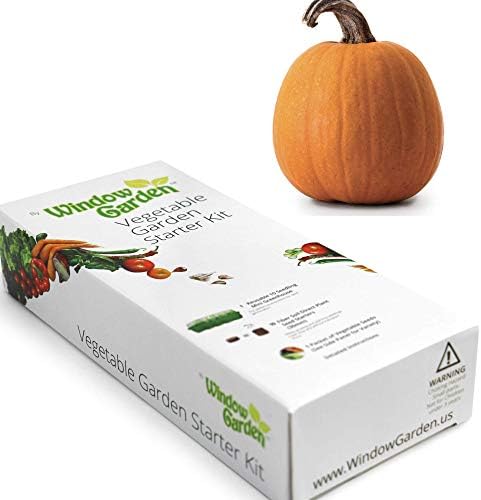 Window Garden - Pumpkin Vegetable Starter Kit - Grow Your Own Food. Germinate Seeds on Your Windowsill Then Move to a Patio Planter or Vegetable Patch. Mini Greenhouse System - Easy. (Pumpkin)