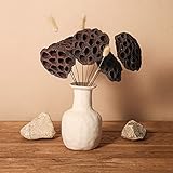 Natural Dried Lotus Pods with Artificial Stems and Bunny Tails Pampas Grass Dried Flowers DIY...