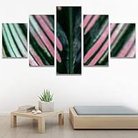 SIGNWIN 5 Panel Canvas Wall Art Abstract Aerial Contemporary Mixed Media Modern Art Multicolor Texture for Home Decorations Ready to Hang - 60