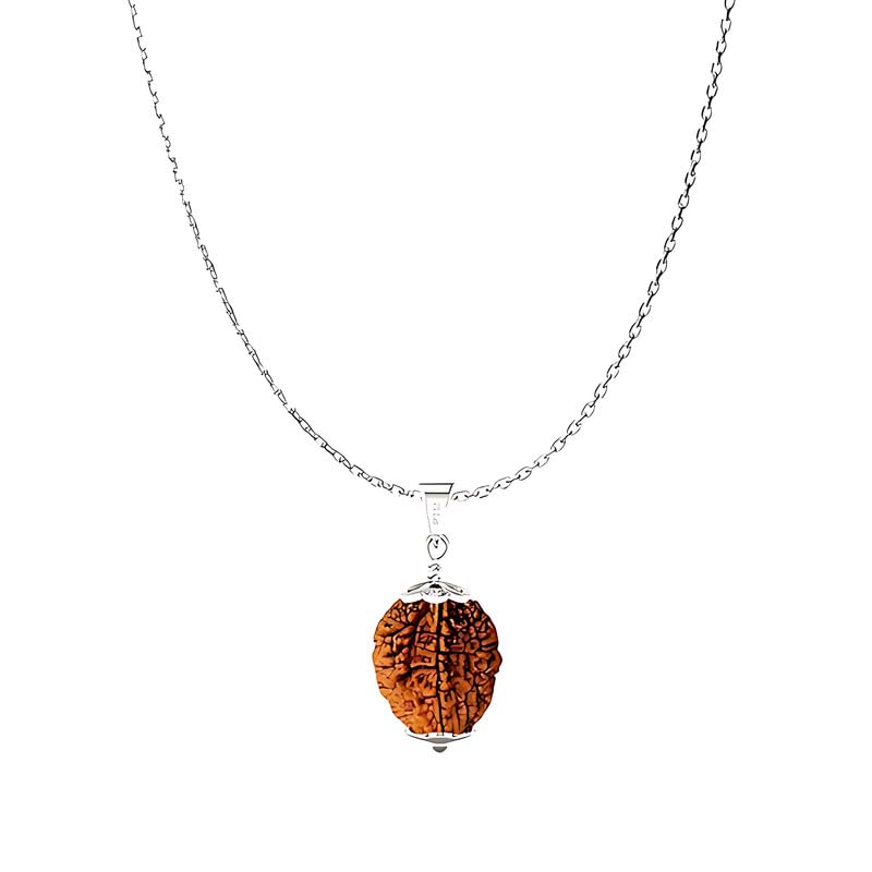 Natural 1/2/3/4/5/6/7/8/9/10/11/Ganesh/Gaurishankar mukhi Astrological Original Nepali Rudraksha 925 BIS Hallmark Sterling Silver Pendant With Chain for Men and Women lab certified